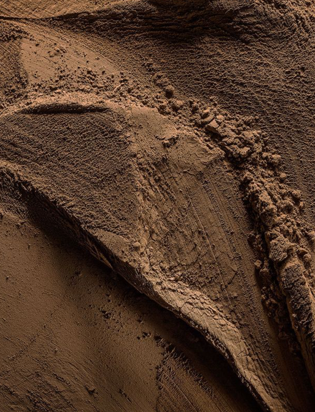 PRE-ORDER Pure Vybes Hojicha - 50gr