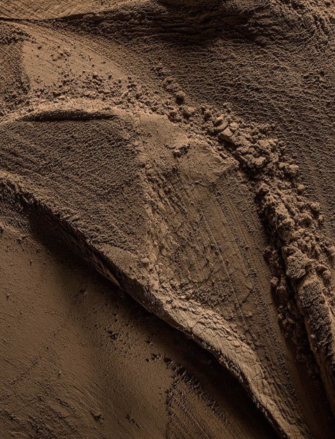 PRE-ORDER Pure Vybes Hojicha - 50gr